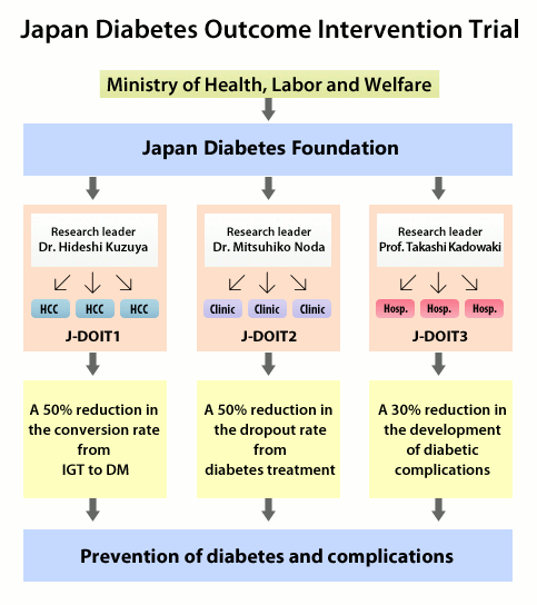 Organizational diagram of the Strategic Study for the Prevention of Diabetes